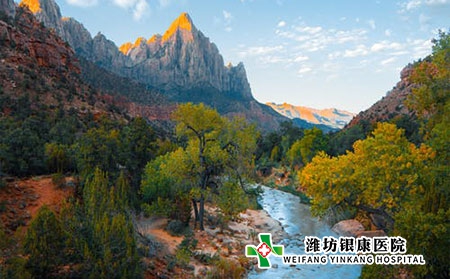 白癜風有哪些癥狀?應該如何調理? 白癜風有哪些癥狀?應該如何調理?