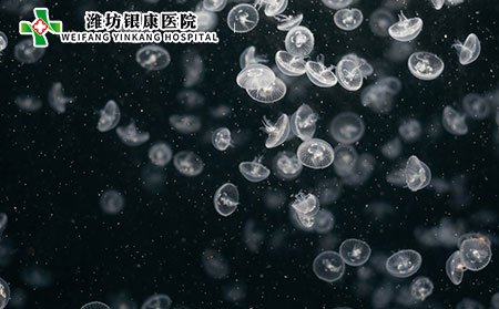 艾葉煮水能治療濕疹嗎?