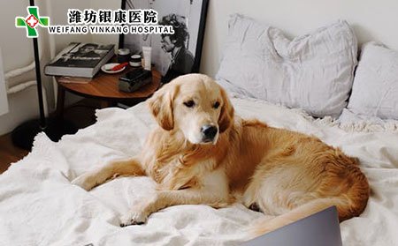 白癜風的潛在危害有哪些?應該如何護理?