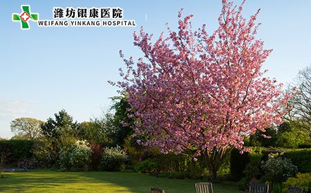 白癜風(fēng)日常保健應(yīng)該注意什么?白癜風(fēng)病因是什么?