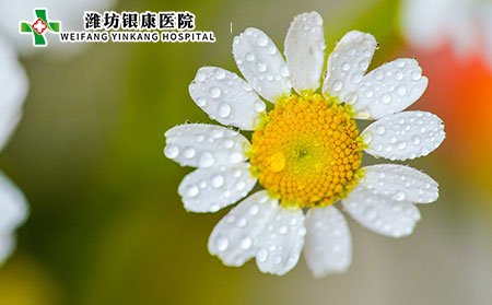 孕婦白癜風(fēng)注意事項有哪些?如何養(yǎng)身?