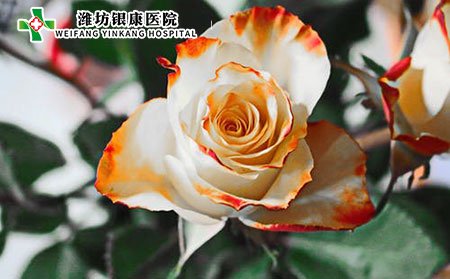 在日常生活中如何預(yù)防白癜風(fēng)?