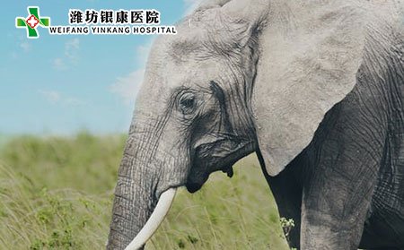 天皰瘡中醫(yī)診斷方法有哪些?