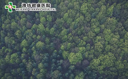 老年白斑就是白癜風(fēng)嗎?白癜風(fēng)如何鑒別?