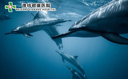 濰坊皮膚病醫(yī)院如何遠(yuǎn)離手部濕疹?