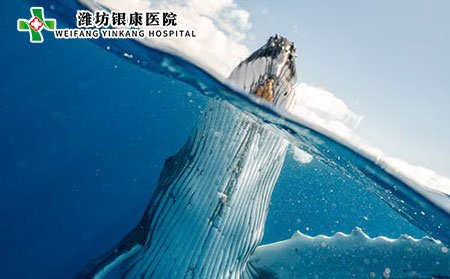 過敏性紫癜有哪些常見癥狀?