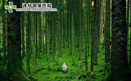 濕疹中醫(yī)辨別有哪些?濕疹的危害有哪些?