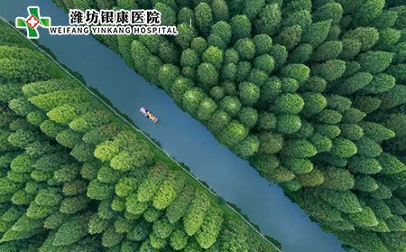 濕疹中醫(yī)辨別有哪些?濕疹的危害有哪些?